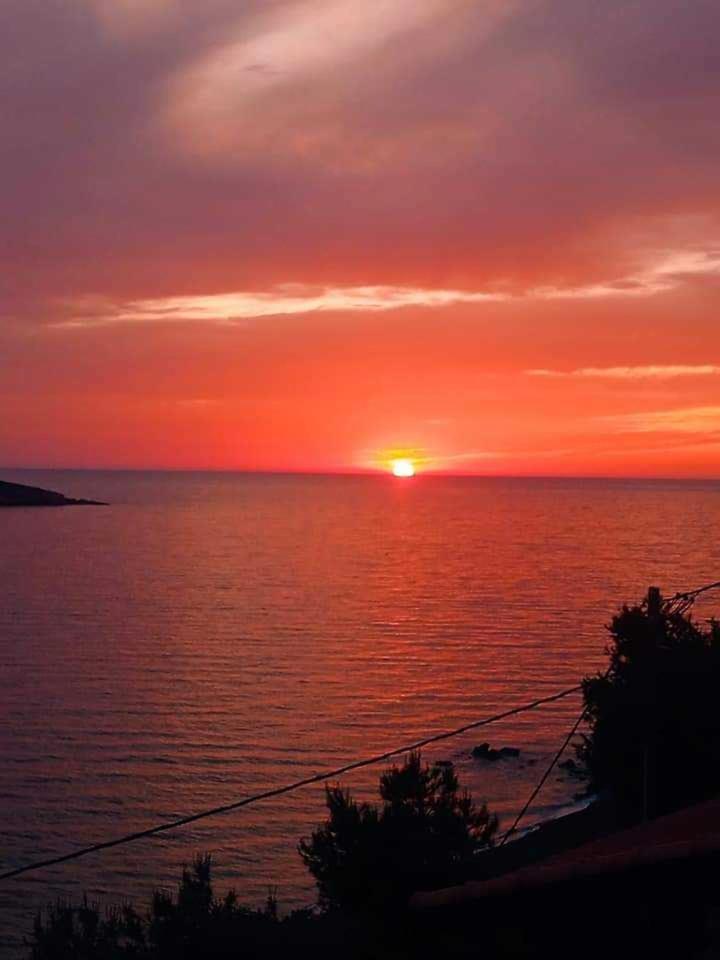 Kalymnos Platy Gialos Mousellis Makis Apartments Panormos  Exteriör bild